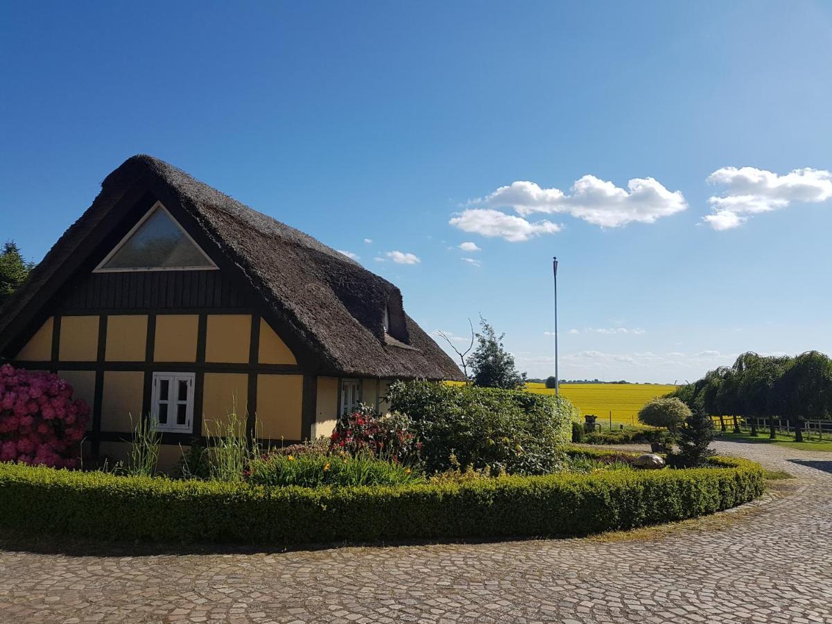 Zara'S B&B Horsens Eksteriør bilde