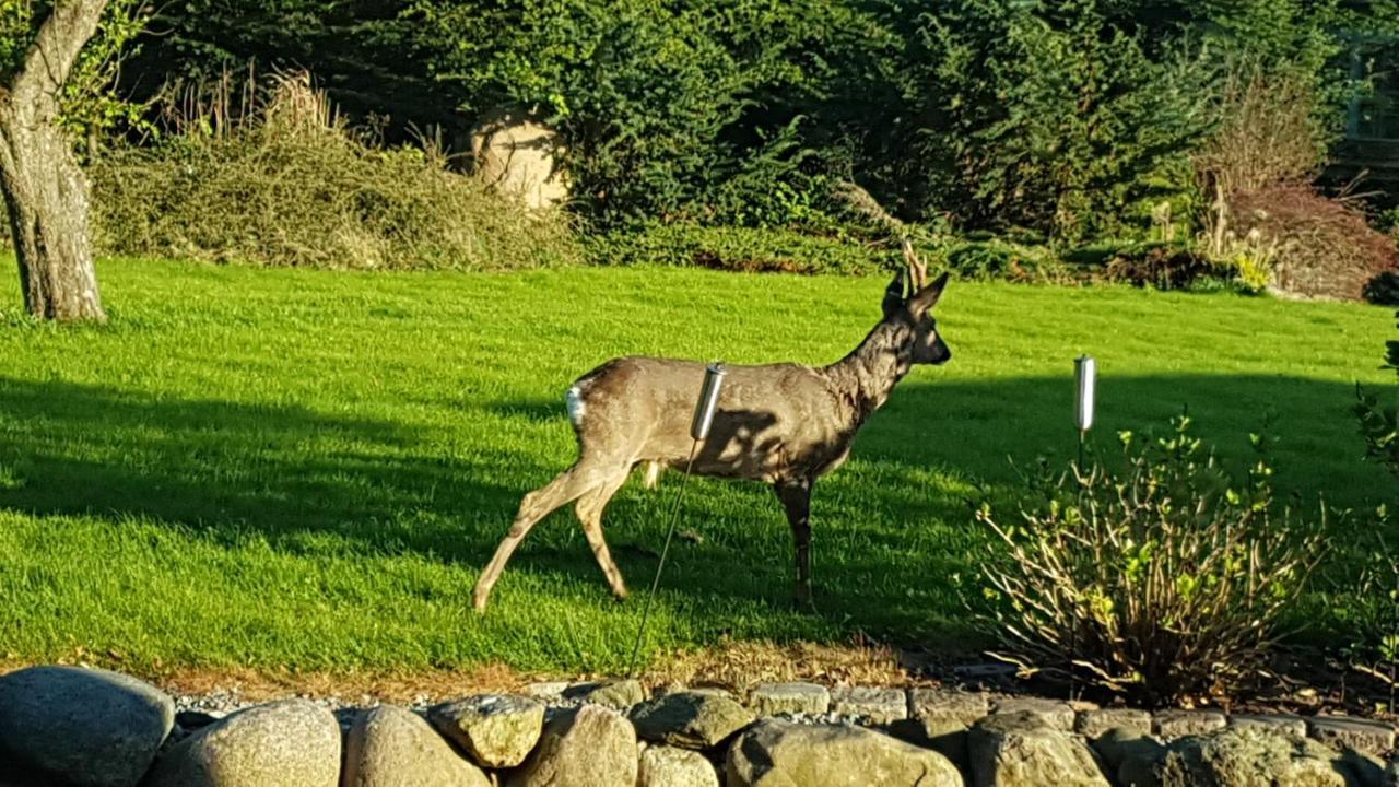 Zara'S B&B Horsens Eksteriør bilde