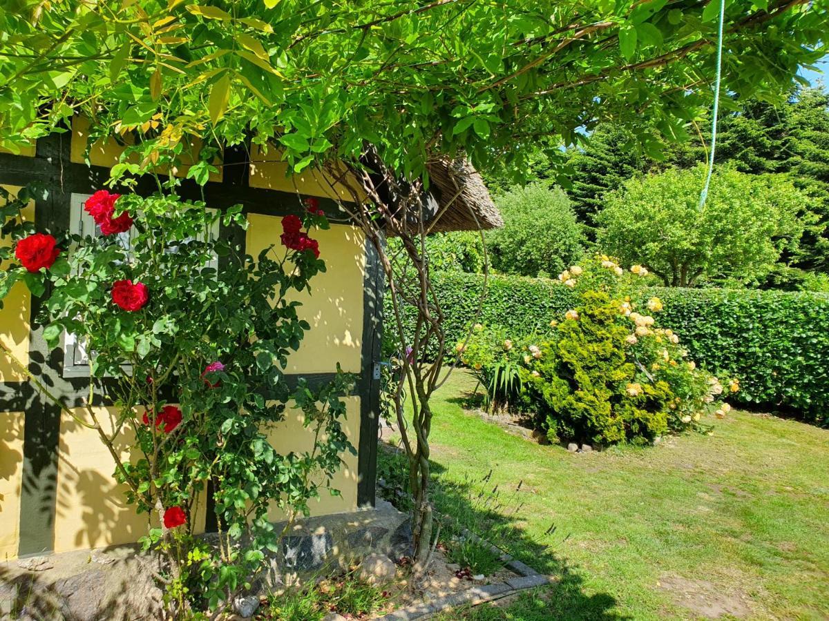 Zara'S B&B Horsens Eksteriør bilde